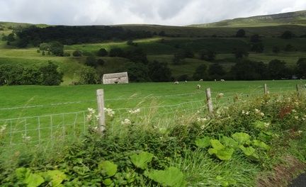 DSC03811-313678974